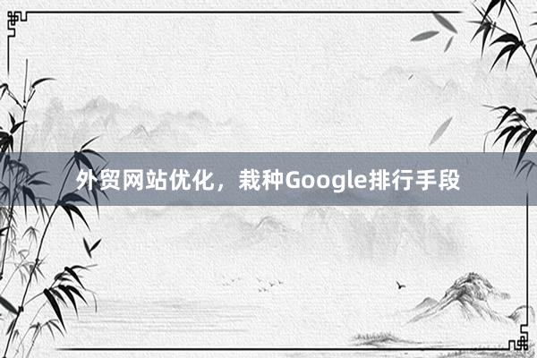 外贸网站优化，栽种Google排行手段